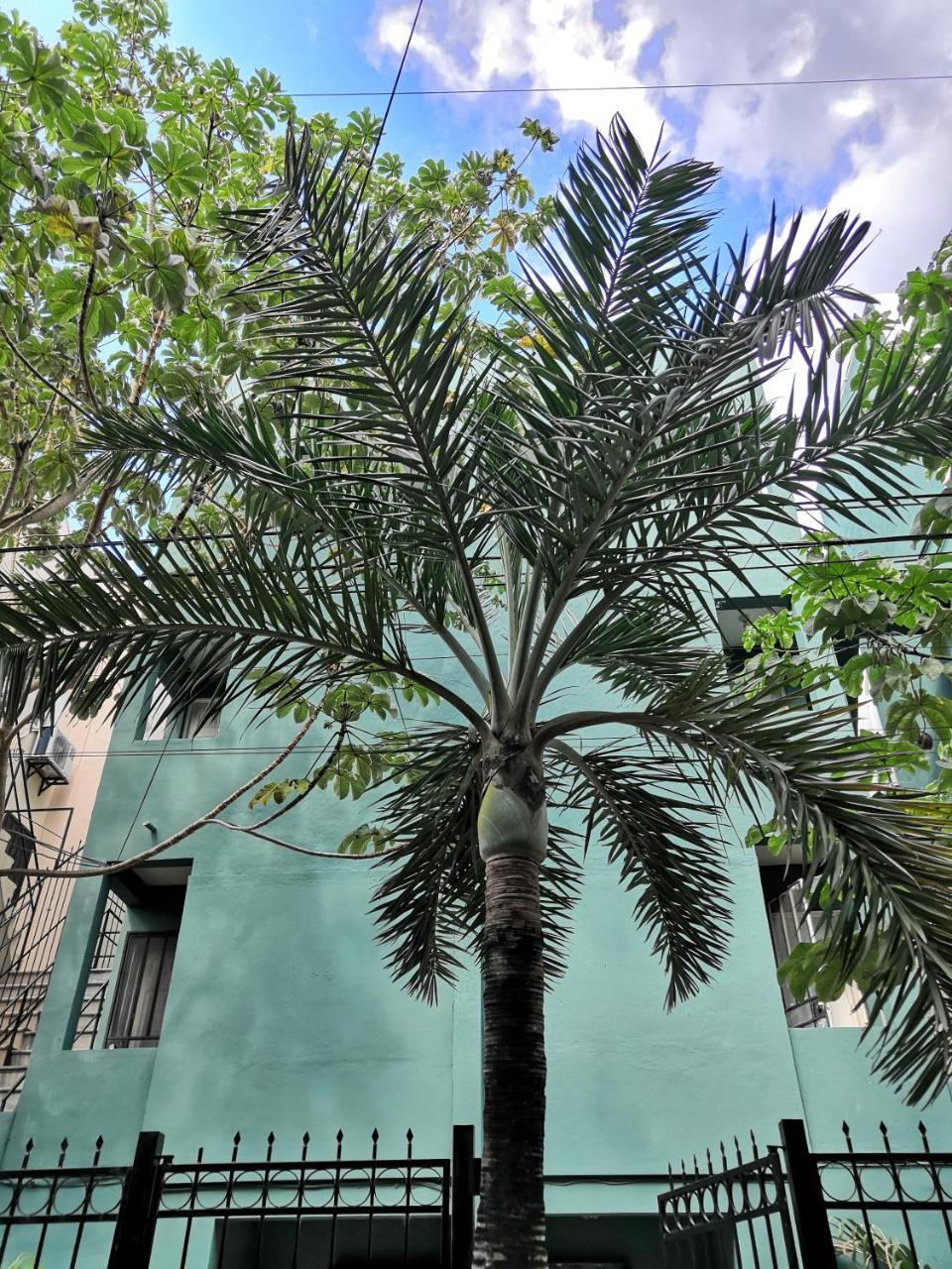 Apartment & Studio 28 Playa del Carmen Exterior foto